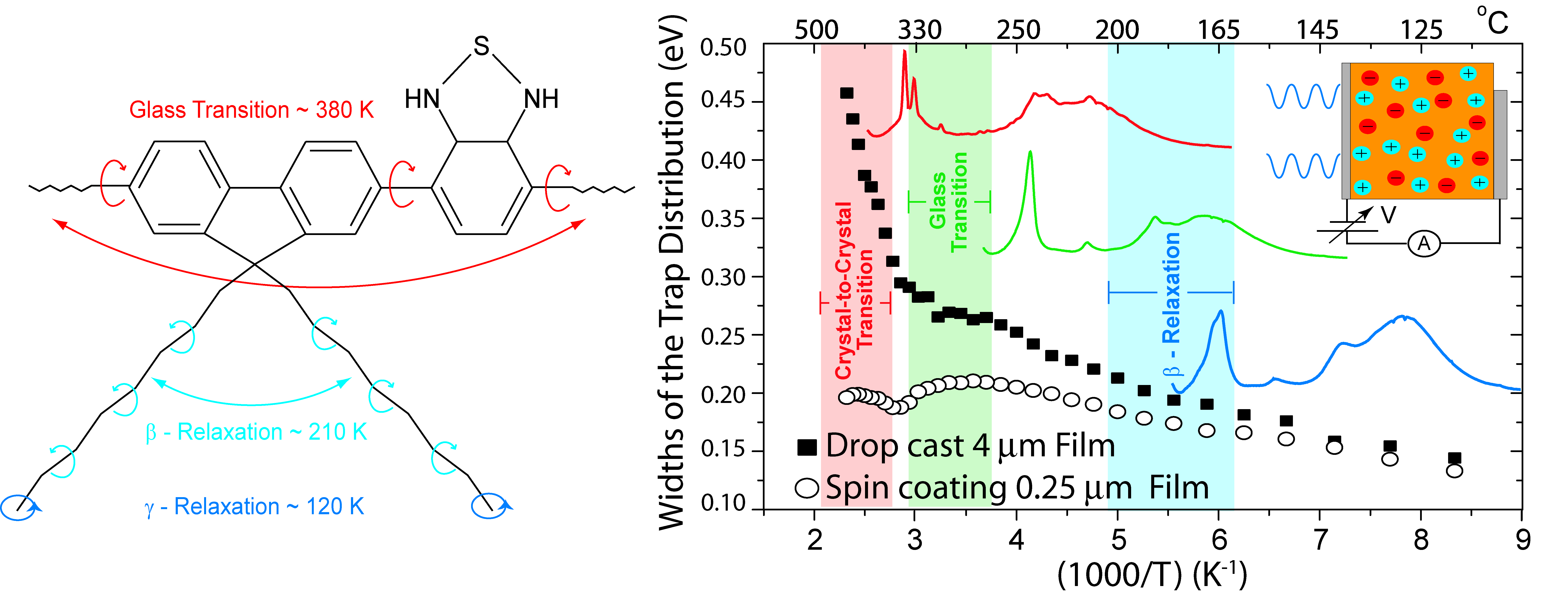 molecular-and-trap-distribution